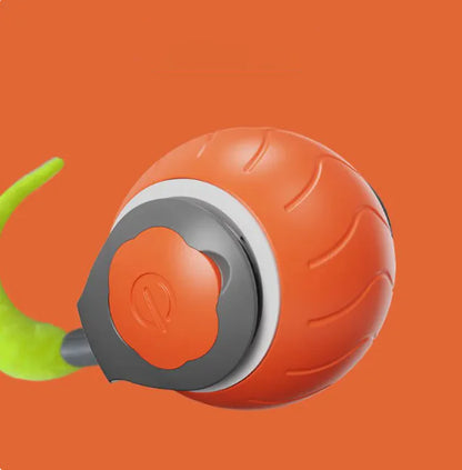 Automatic Interactive Ball for Active Cats