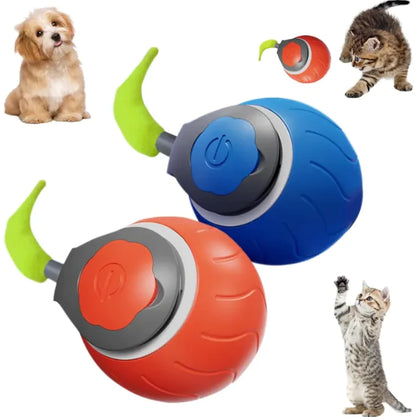 Automatic Interactive Ball for Active Cats