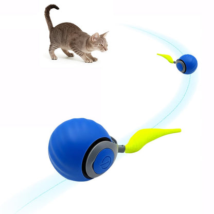 Automatic Interactive Ball for Active Cats