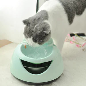 USB Powered Automatic Pet Fountain